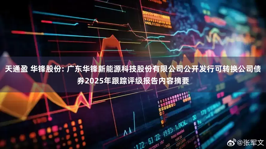 天通盈 华锋股份: 广东华锋新能源科技股份有限公司公开发行可转换公司债券2025年跟踪评级报告内容摘要