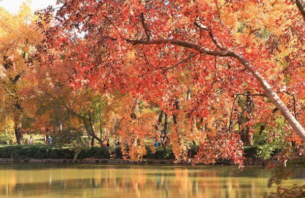 聚创配资 伊春一日游最佳景点推荐，黑龙江伊春旅游必去的10个景点，你去过几个？