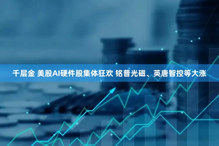 千层金 美股AI硬件股集体狂欢 铭普光磁、英唐智控等大涨